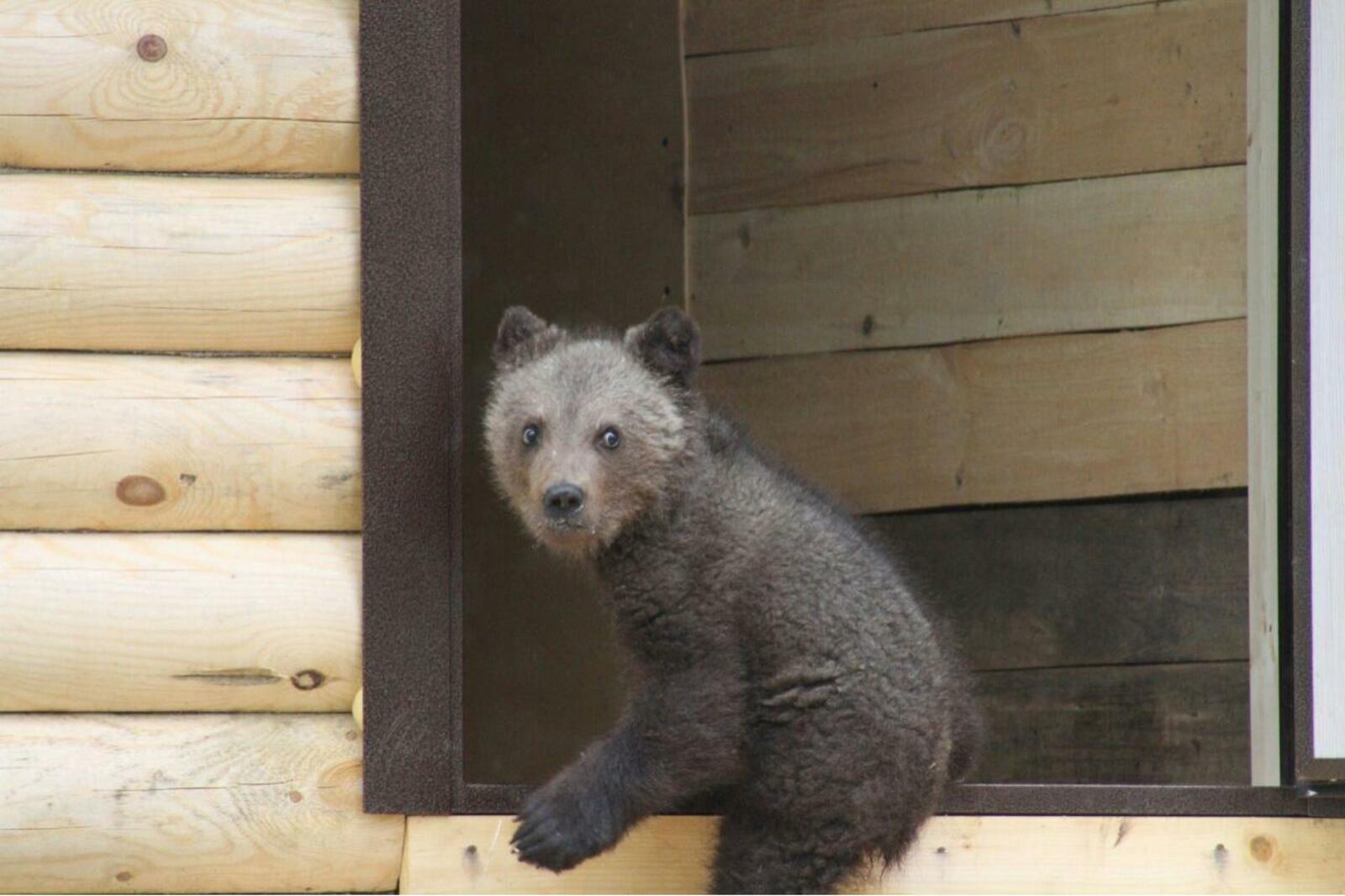 Национальный парк «Башкирия»