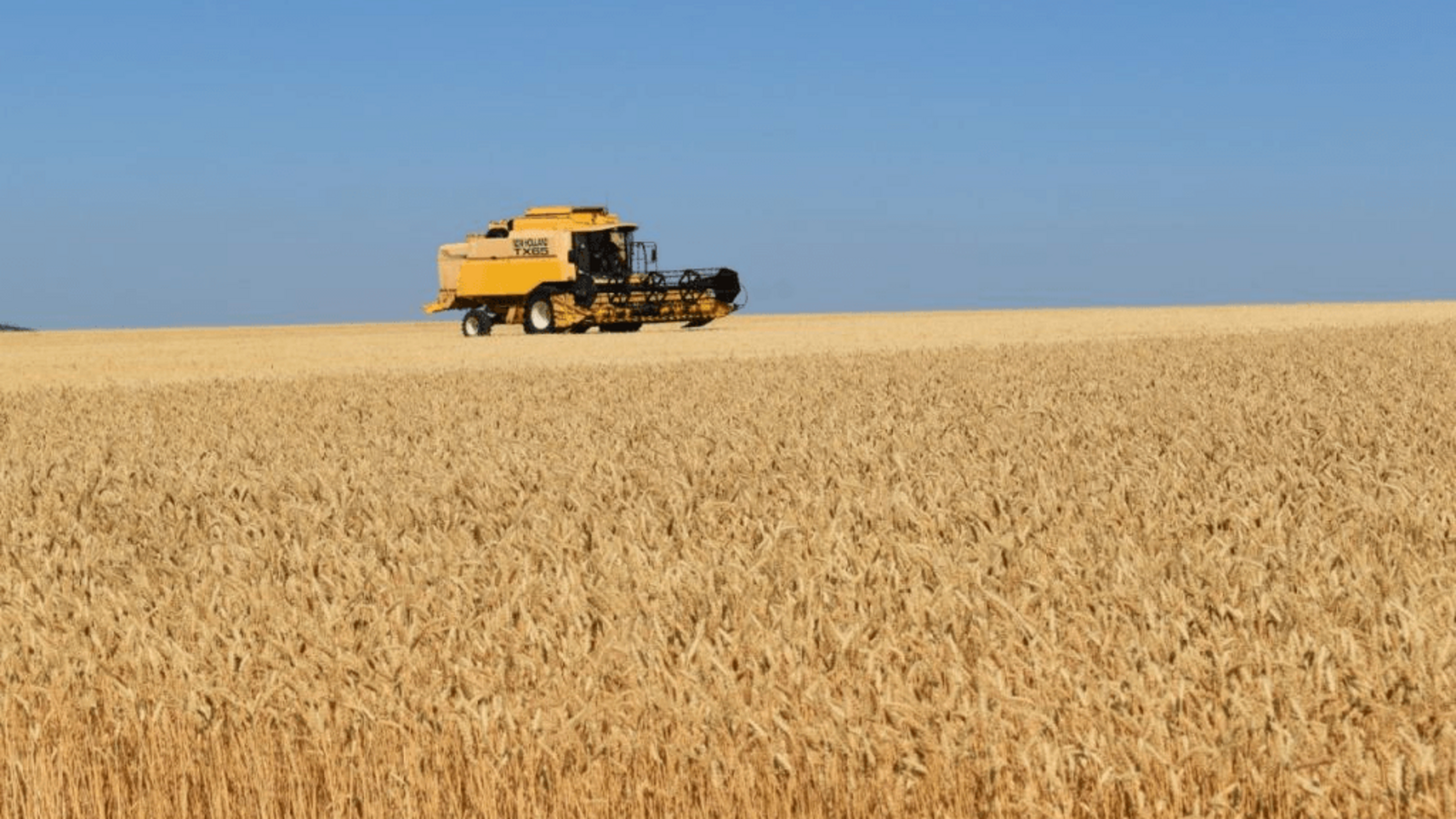 пресс-служба Минсельхоза Башкирии