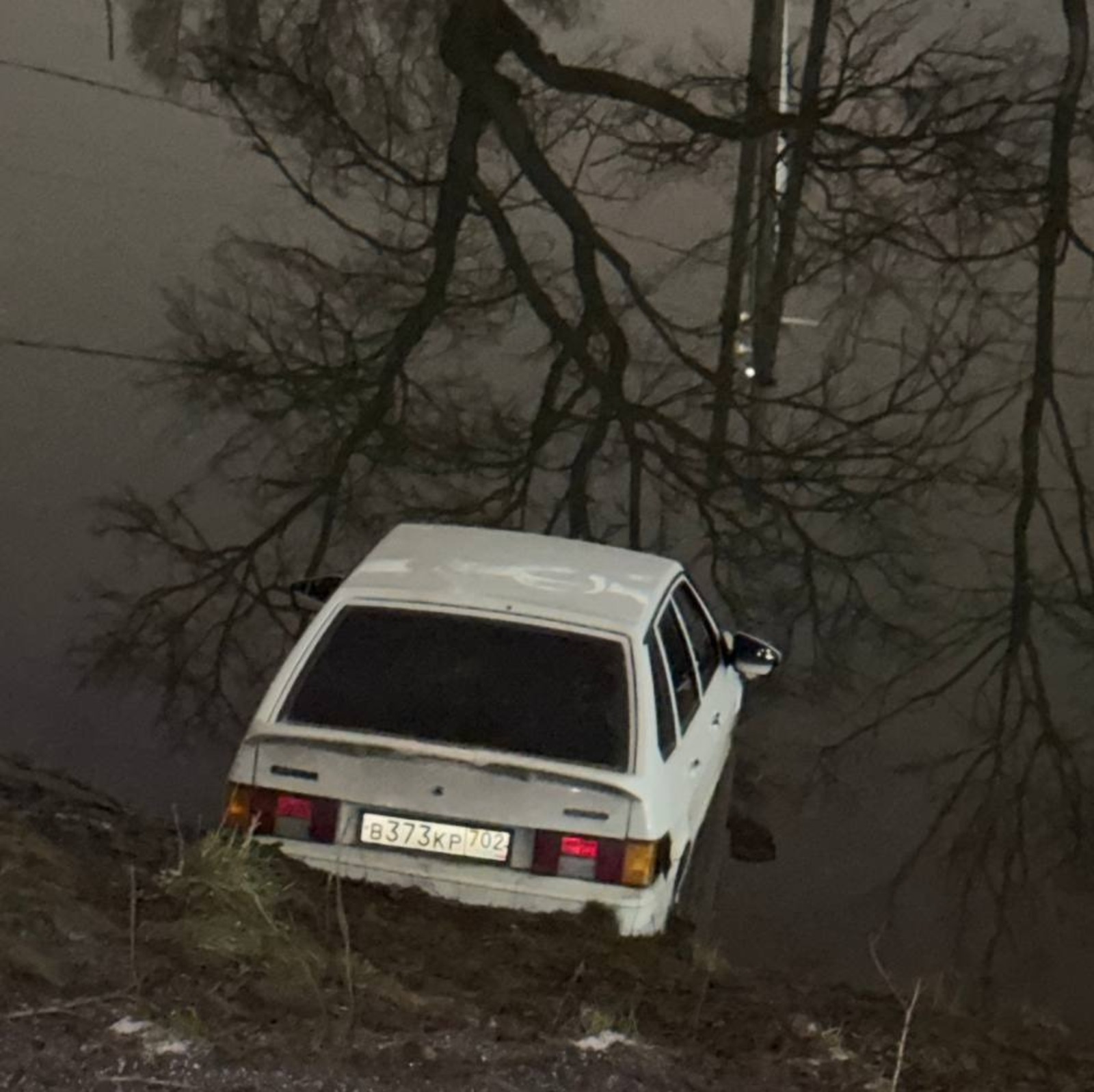 Подписчики Телеграм-канал