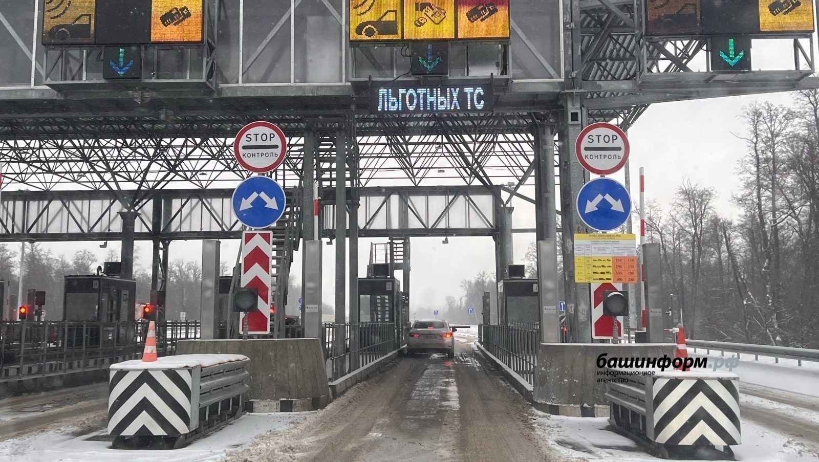 Ксения Калинина Башинформ