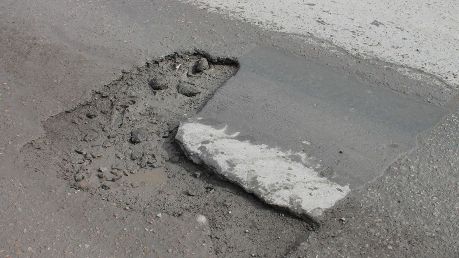 пресс-служба ОНФ