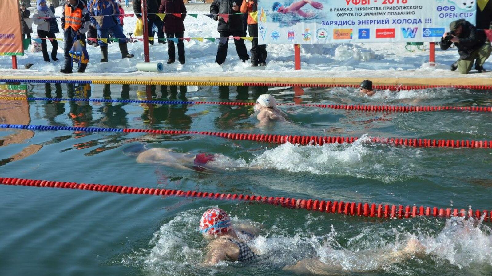 Елена Ледяйкина