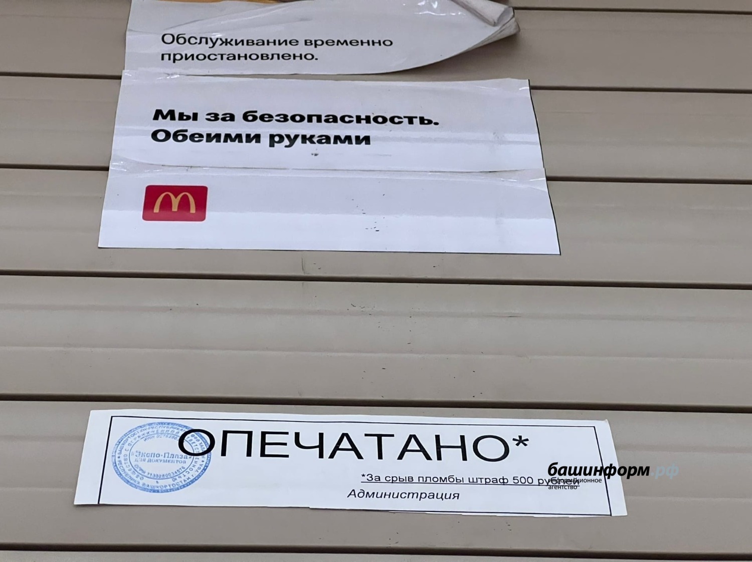 Ксения Калинина