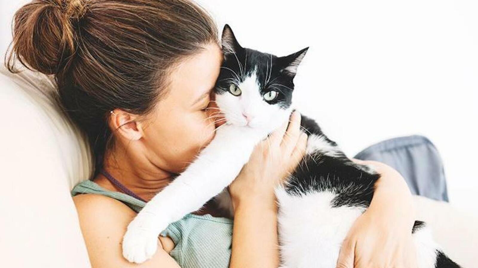 Getty Images/Westend61