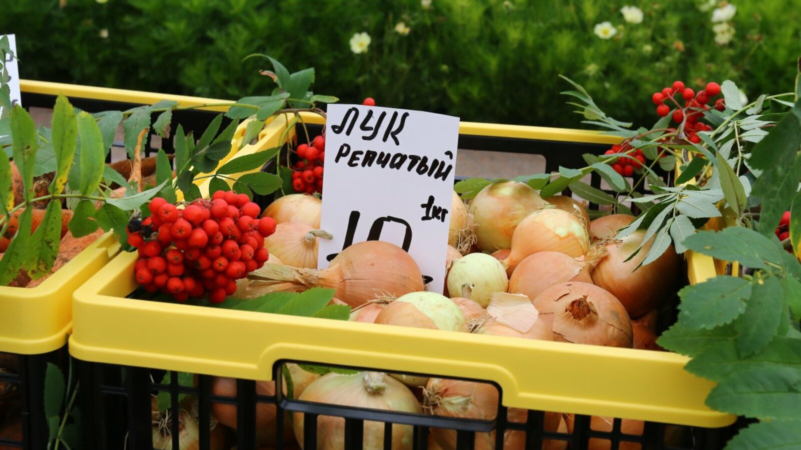 Валерий Шахов