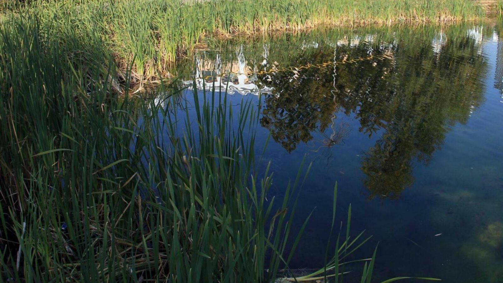 ИА "Башинформ"