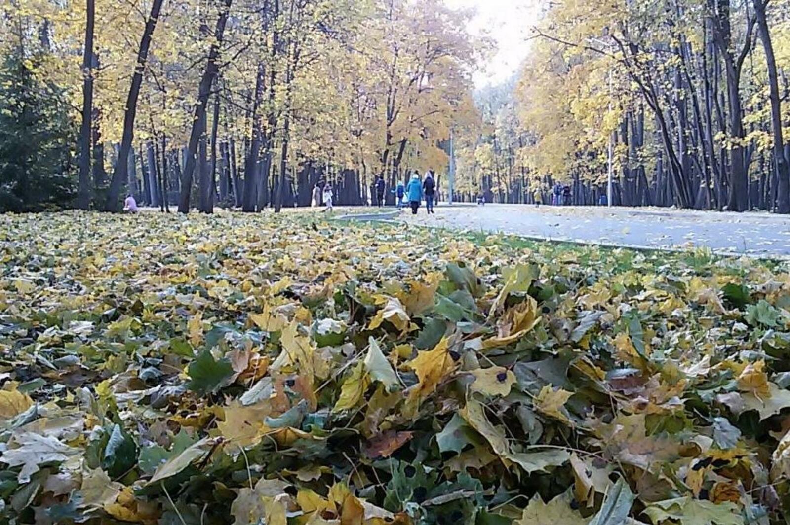 ИА «Башинформ»