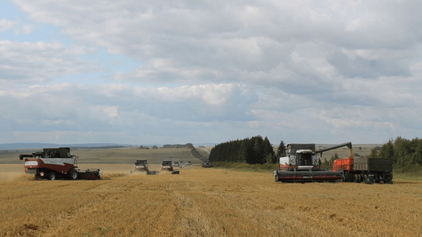 пресс-служба Минсельхоза Башкирии