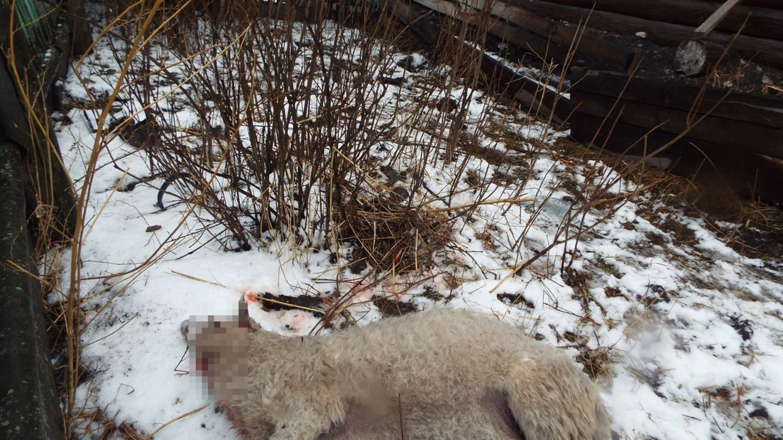 гр. «Бөрйәндәр. [Бурзян.Бөрйән. Бурзянский район]»/vk.com