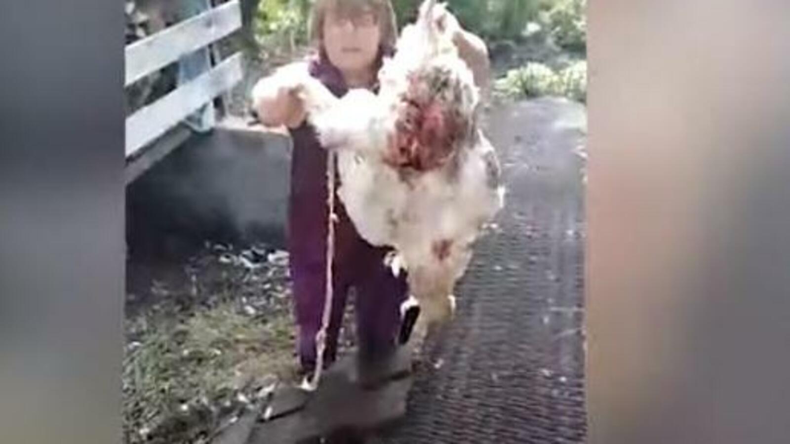 стоп-кадр видео