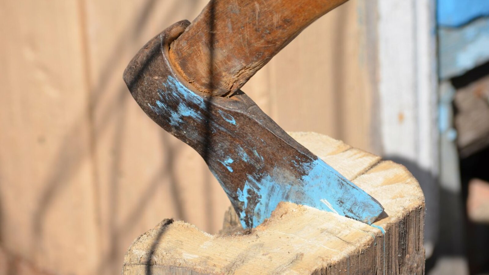 Ксения Калинина