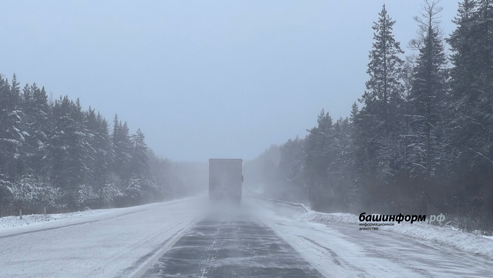 Ксения Калинина ИА Башинформ