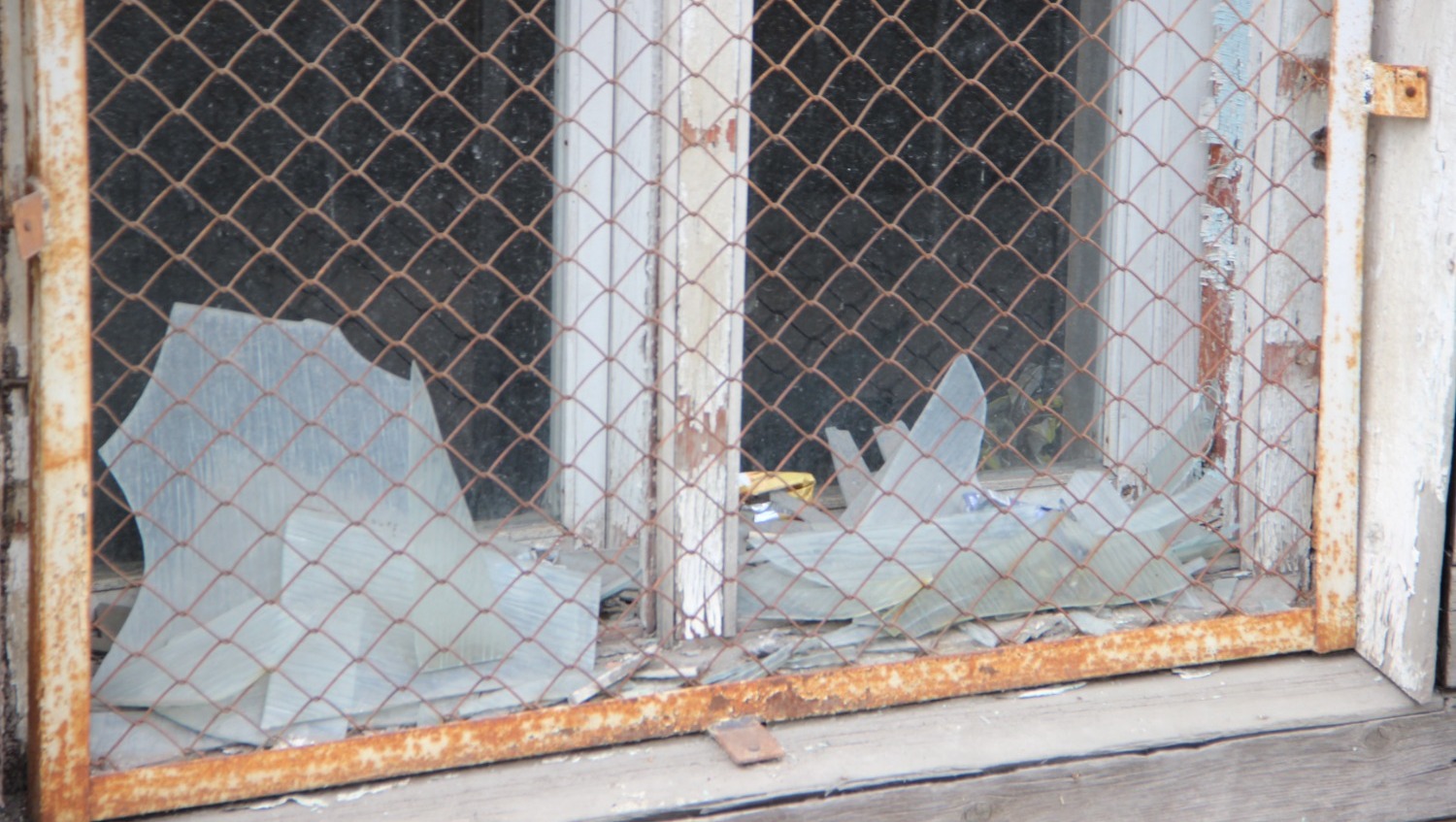 Ксения Калинина  Корпус №3