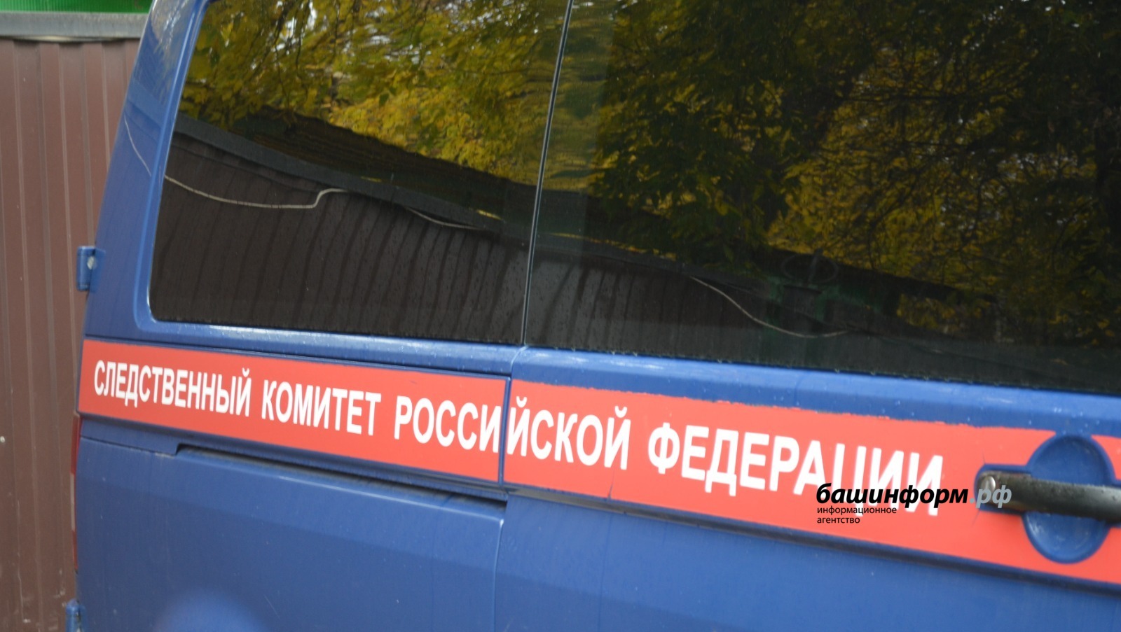 Ксения Калинина