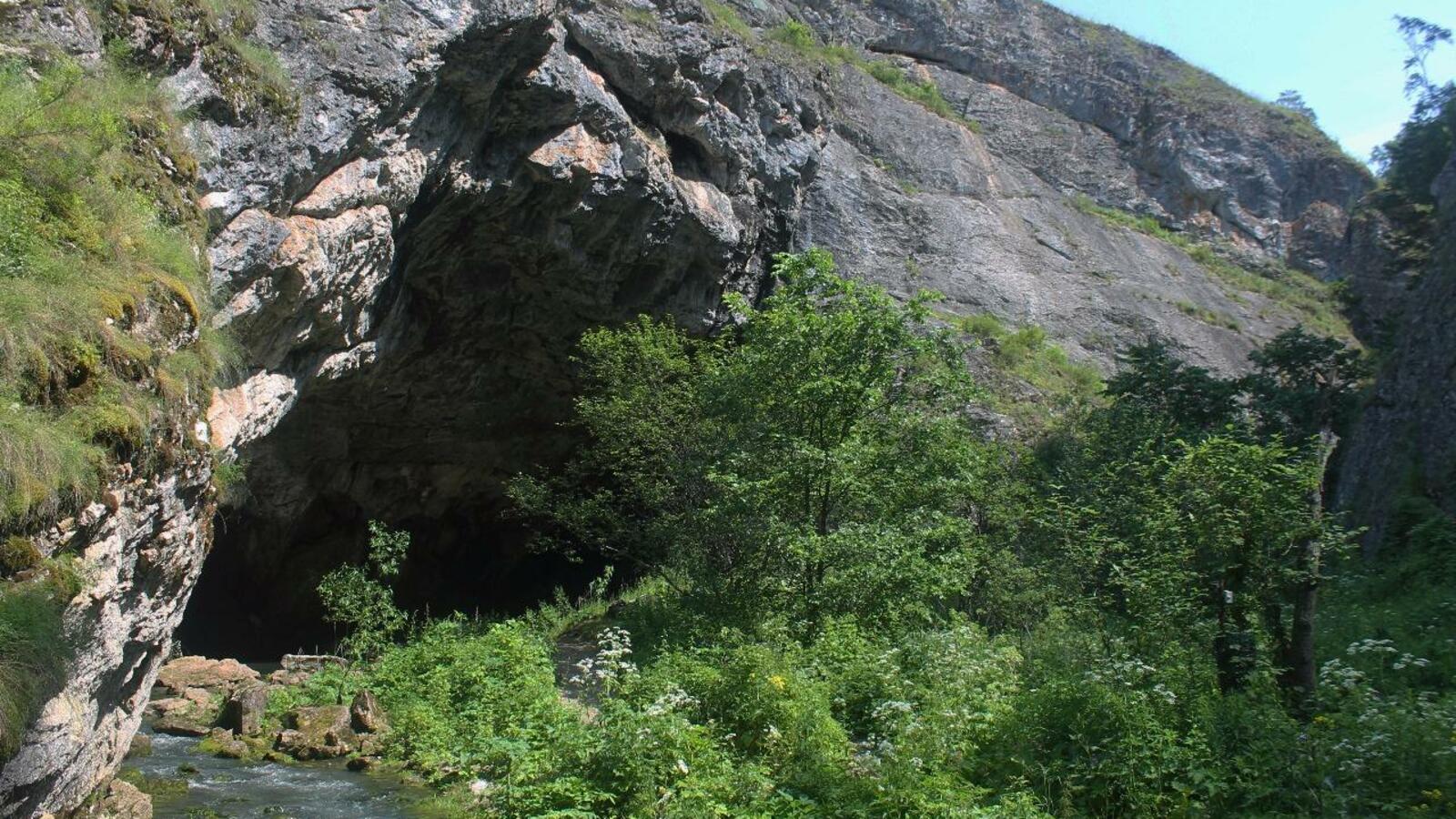 ИА «Башинформ»