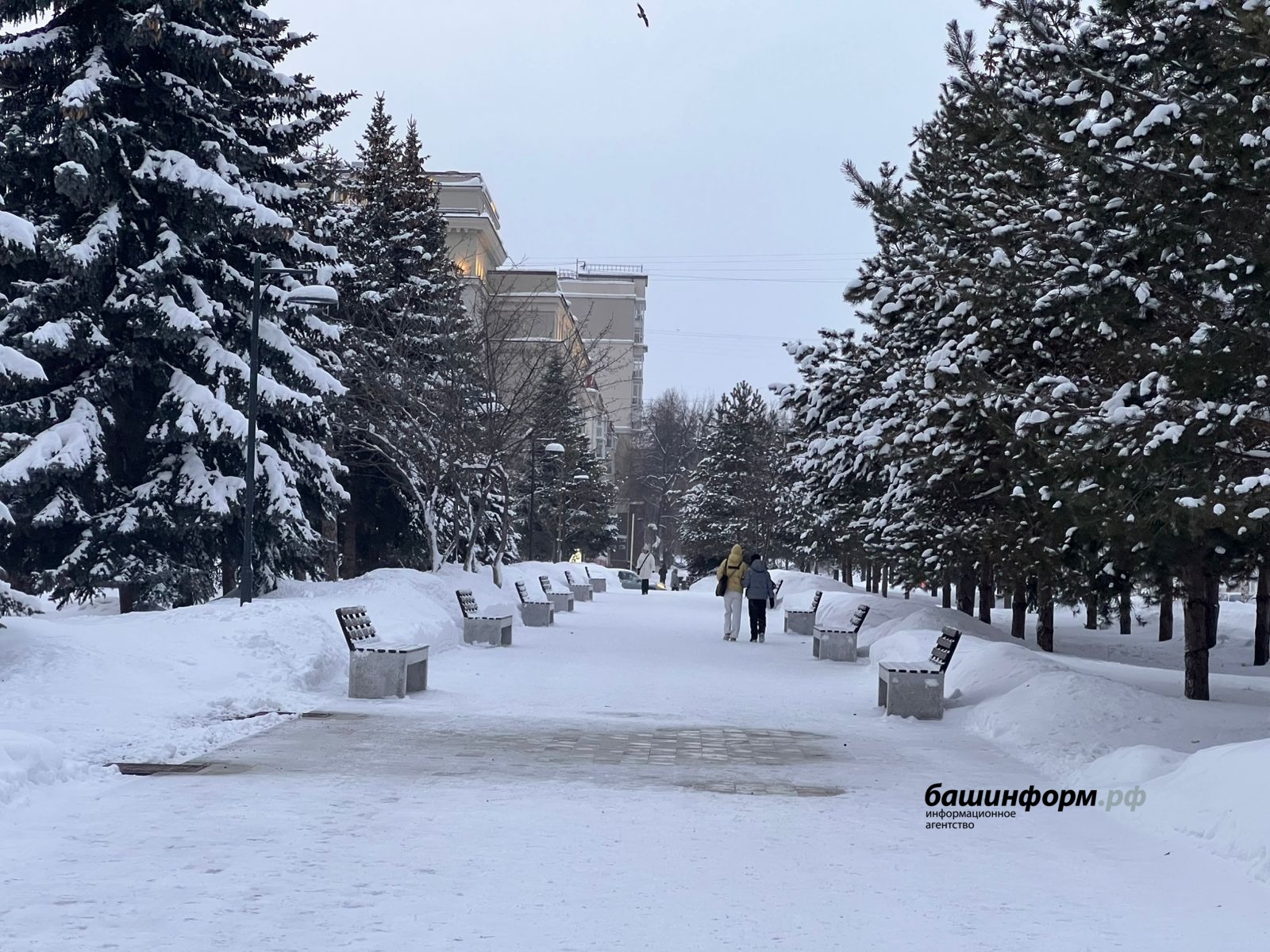 Ксения Калинина