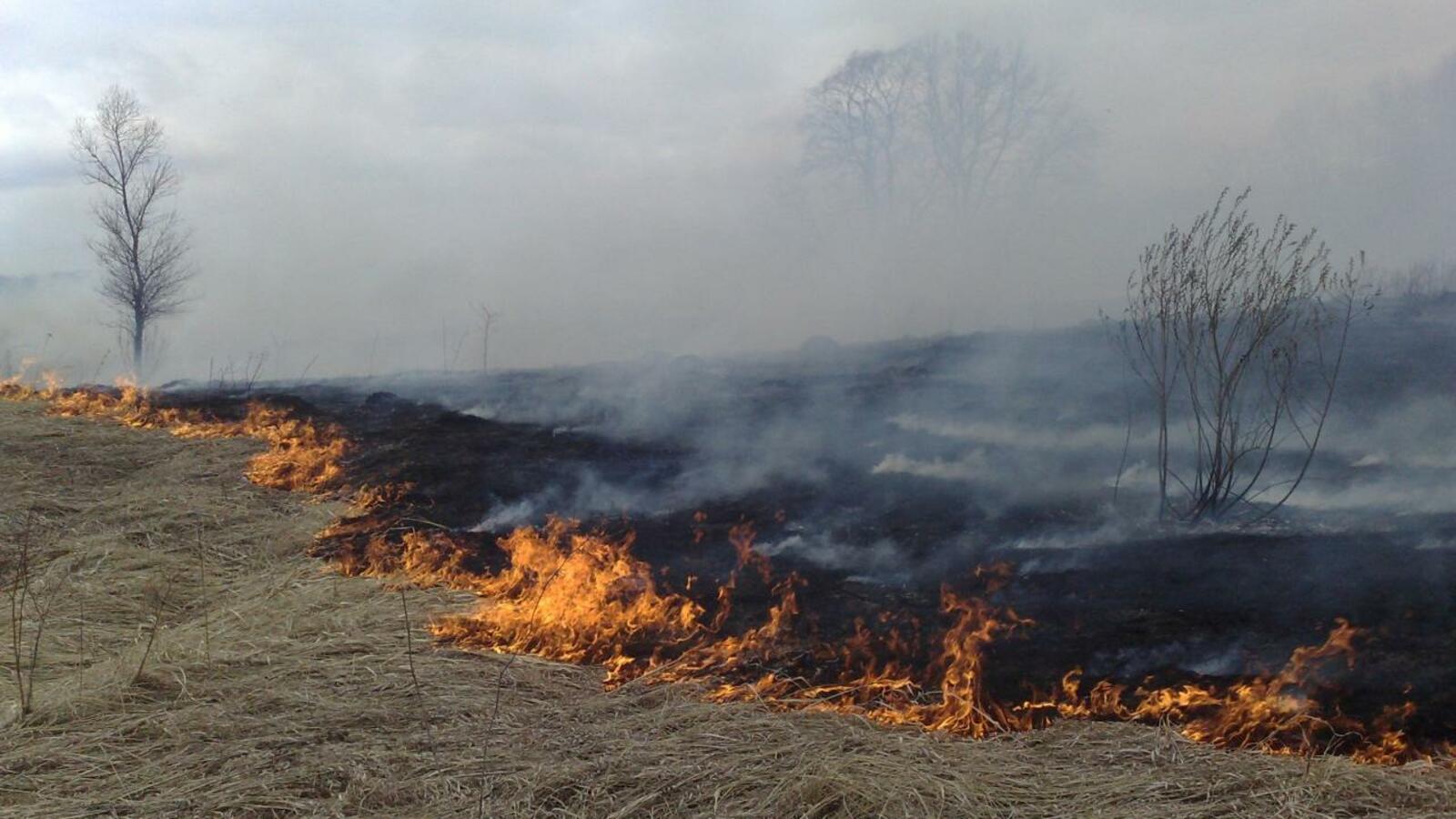 Андрей Старостин