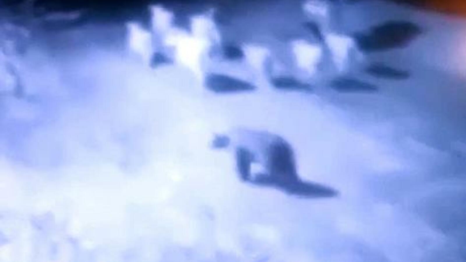 скриншот видео