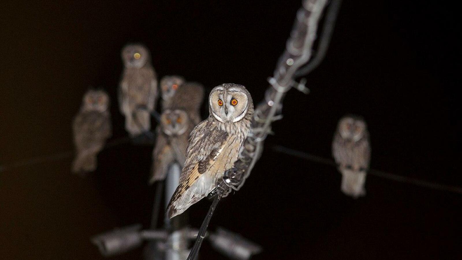 Ильдус Нурмухаметов