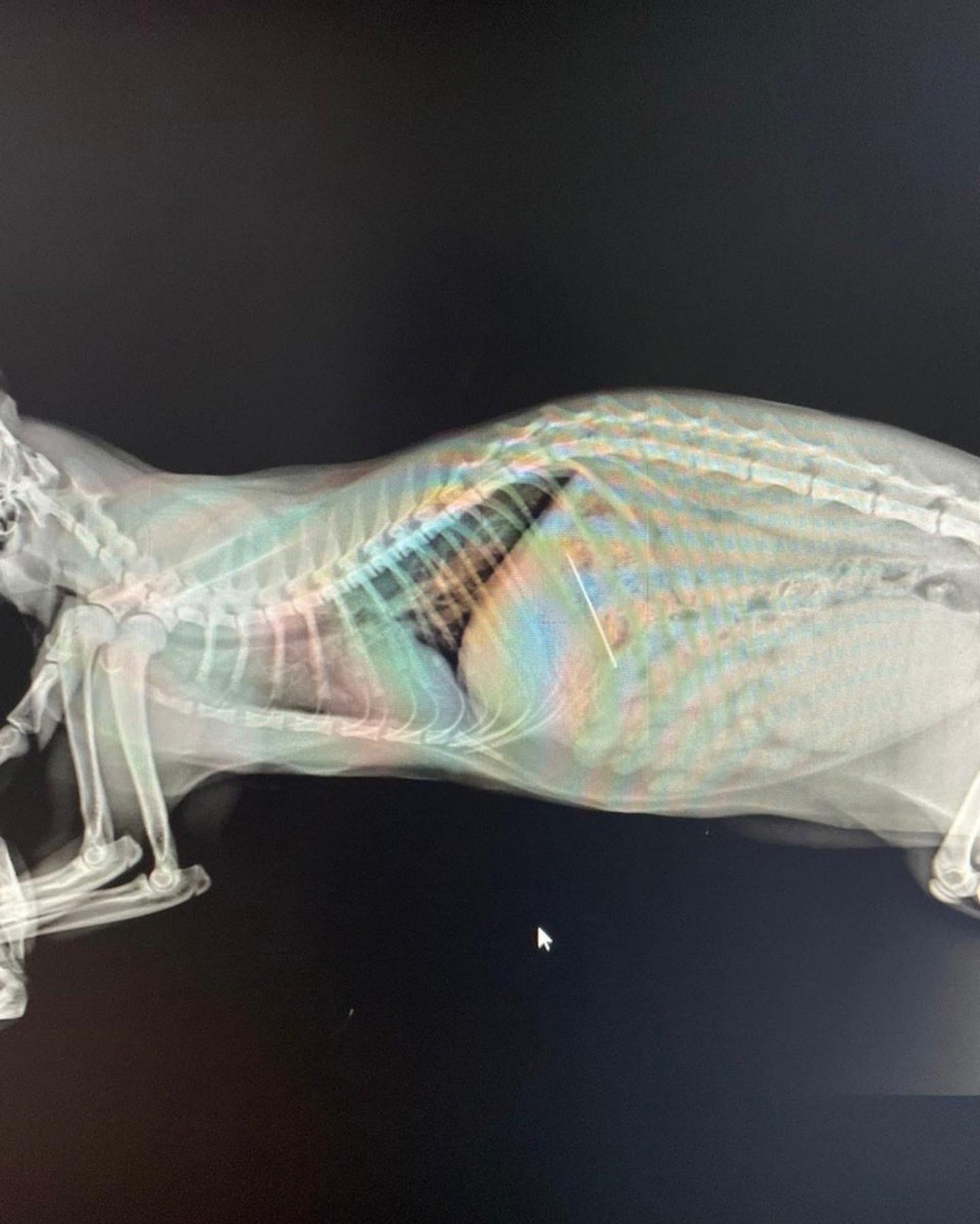 vk.com/vetrb