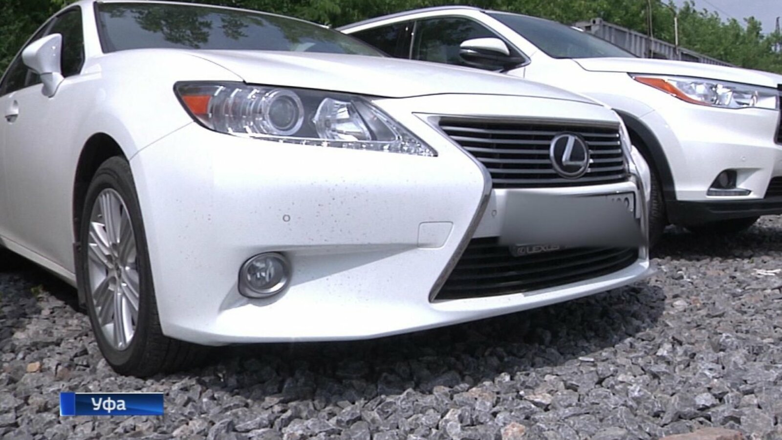 Стоп-кадр видео