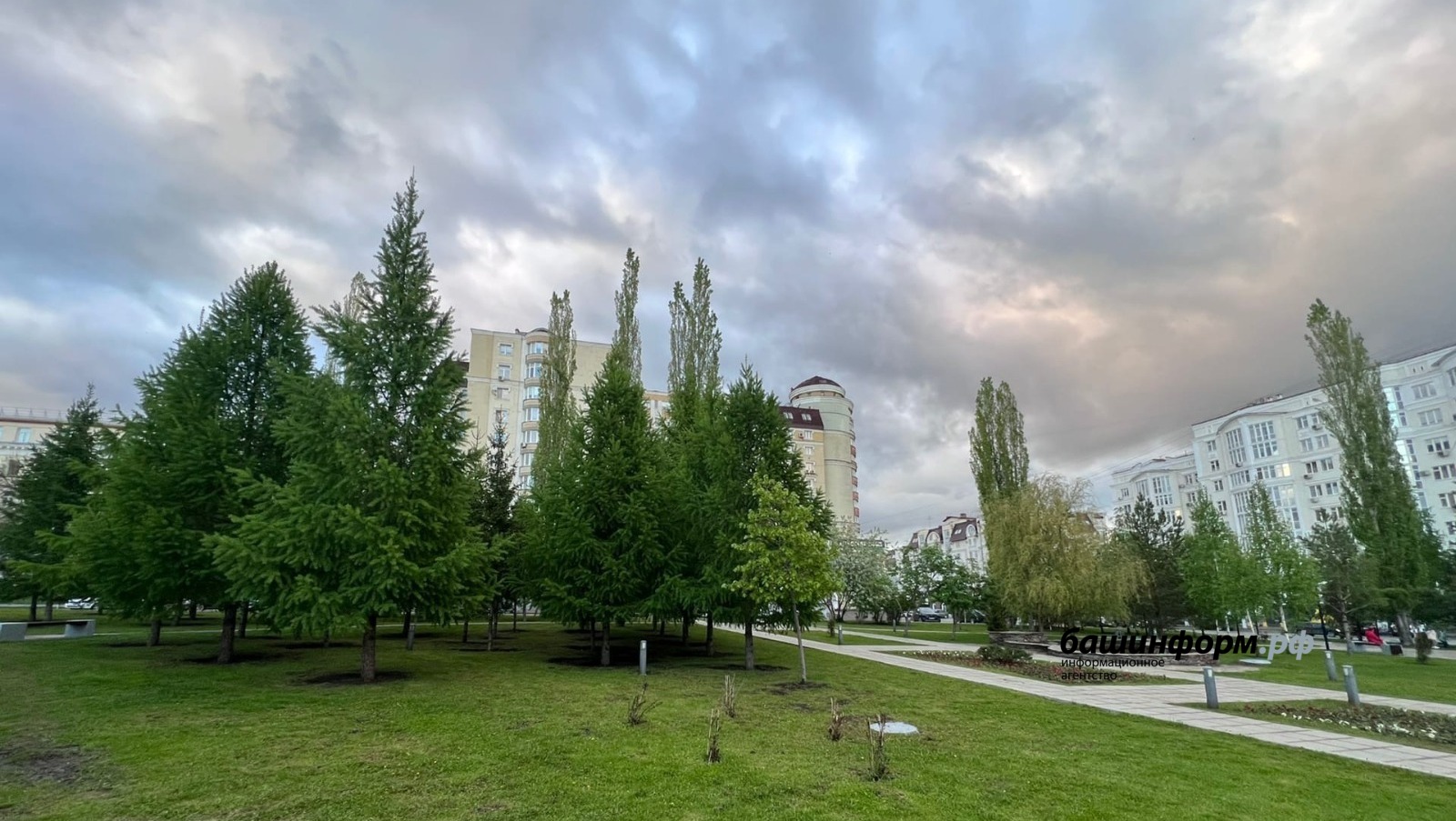 Ксения Калинина
