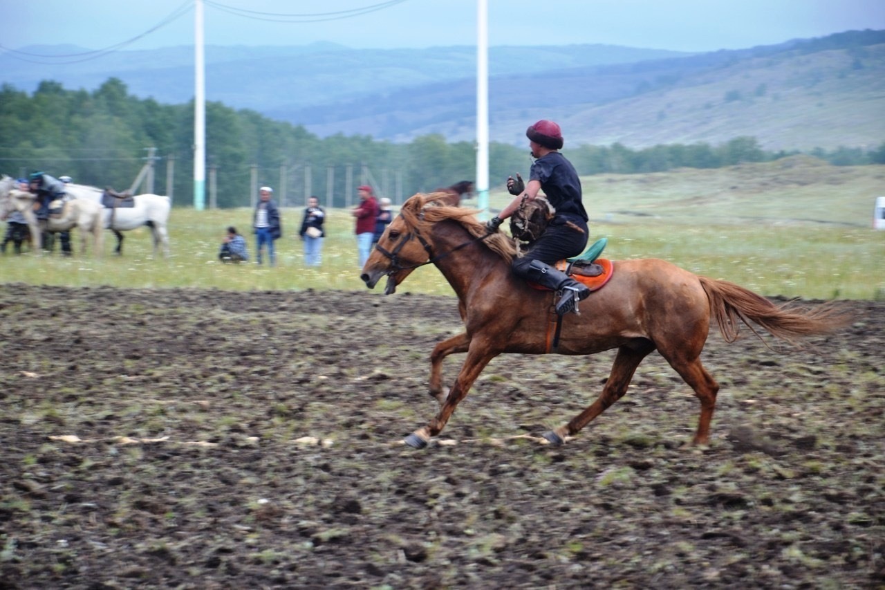 На фестивале «Башкирская лошадь» начались состязания