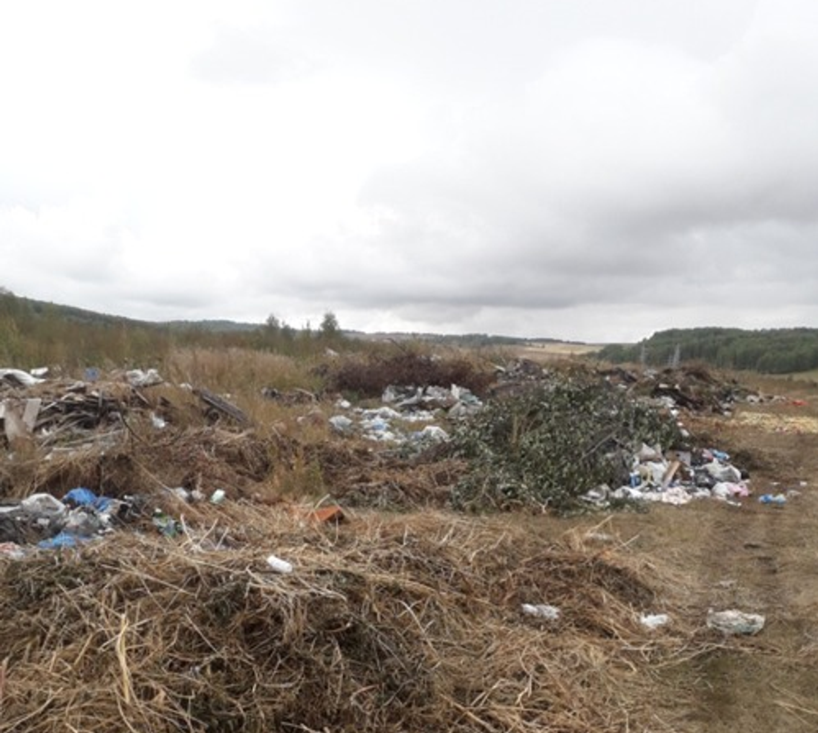 пресс-служба управления Россельхознадзора по РБ