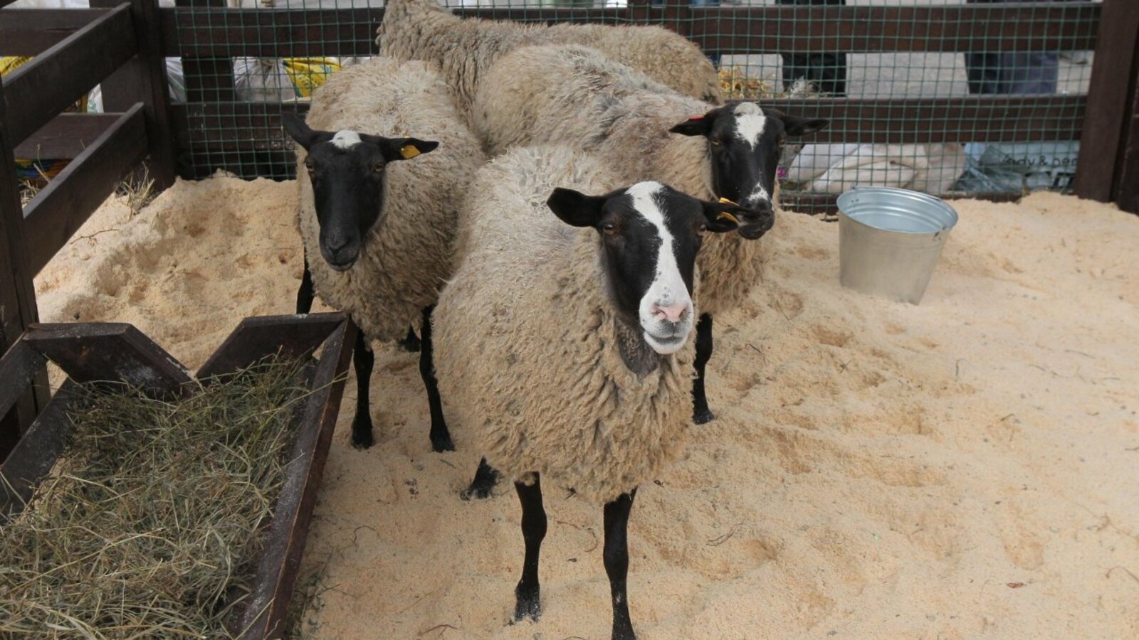 Олег Яровиков