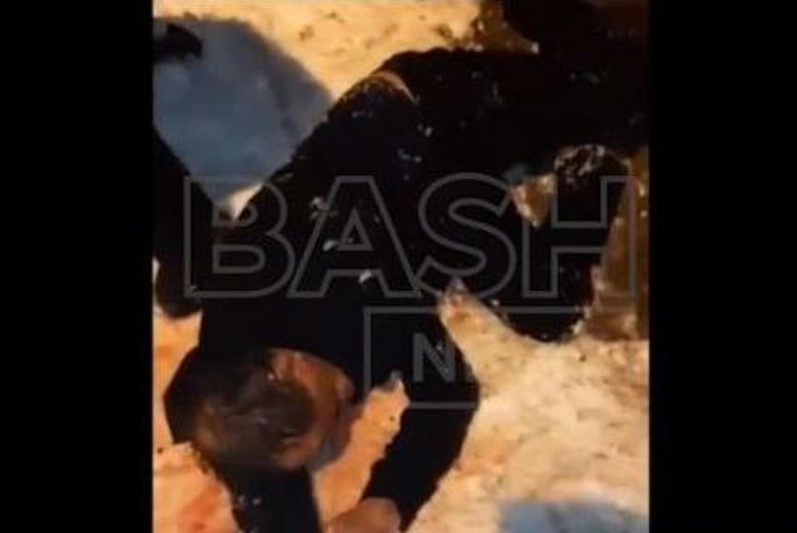 стоп-кадр видео bash.news