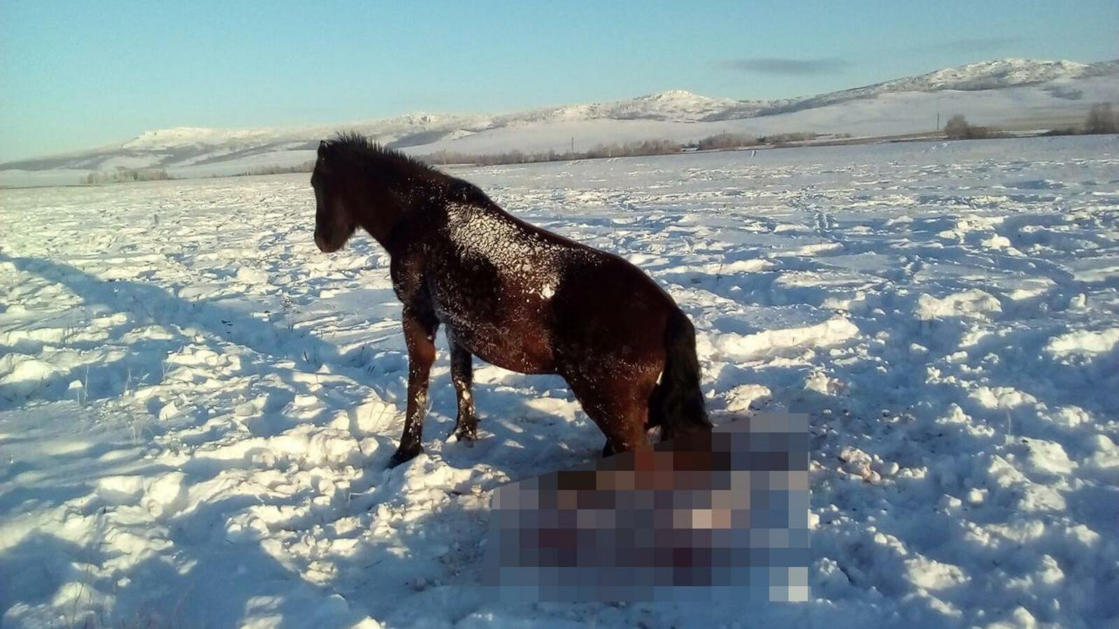 группа «На дорогах Сибая! (Башкирское Зауралье)», Vk