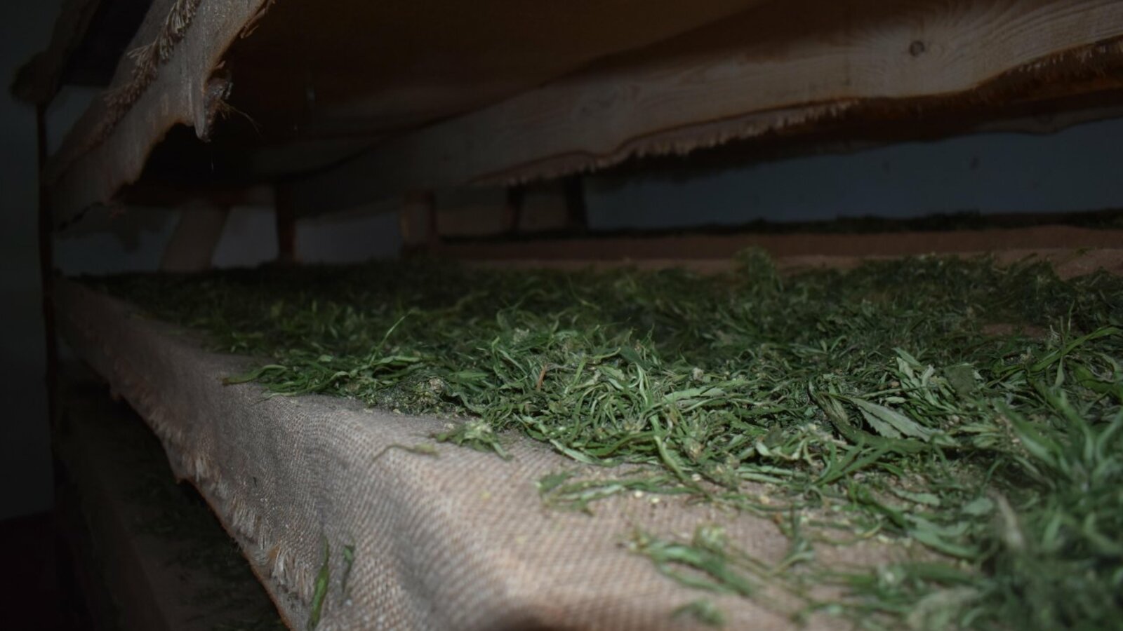 администрация Куюргазинского района