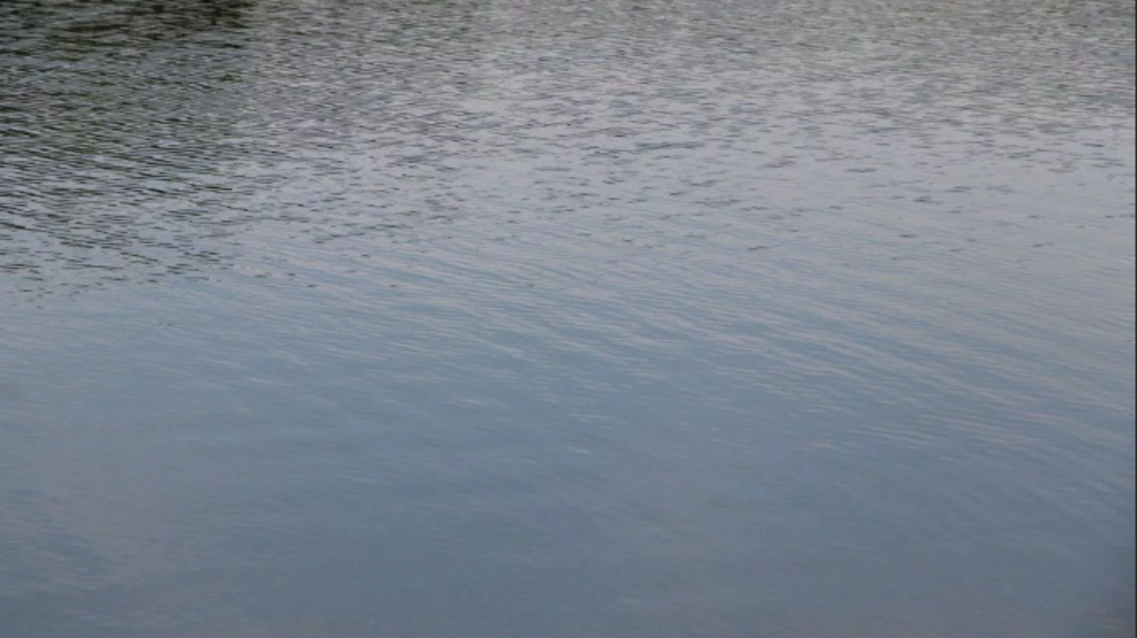 ИА «Башинформ»