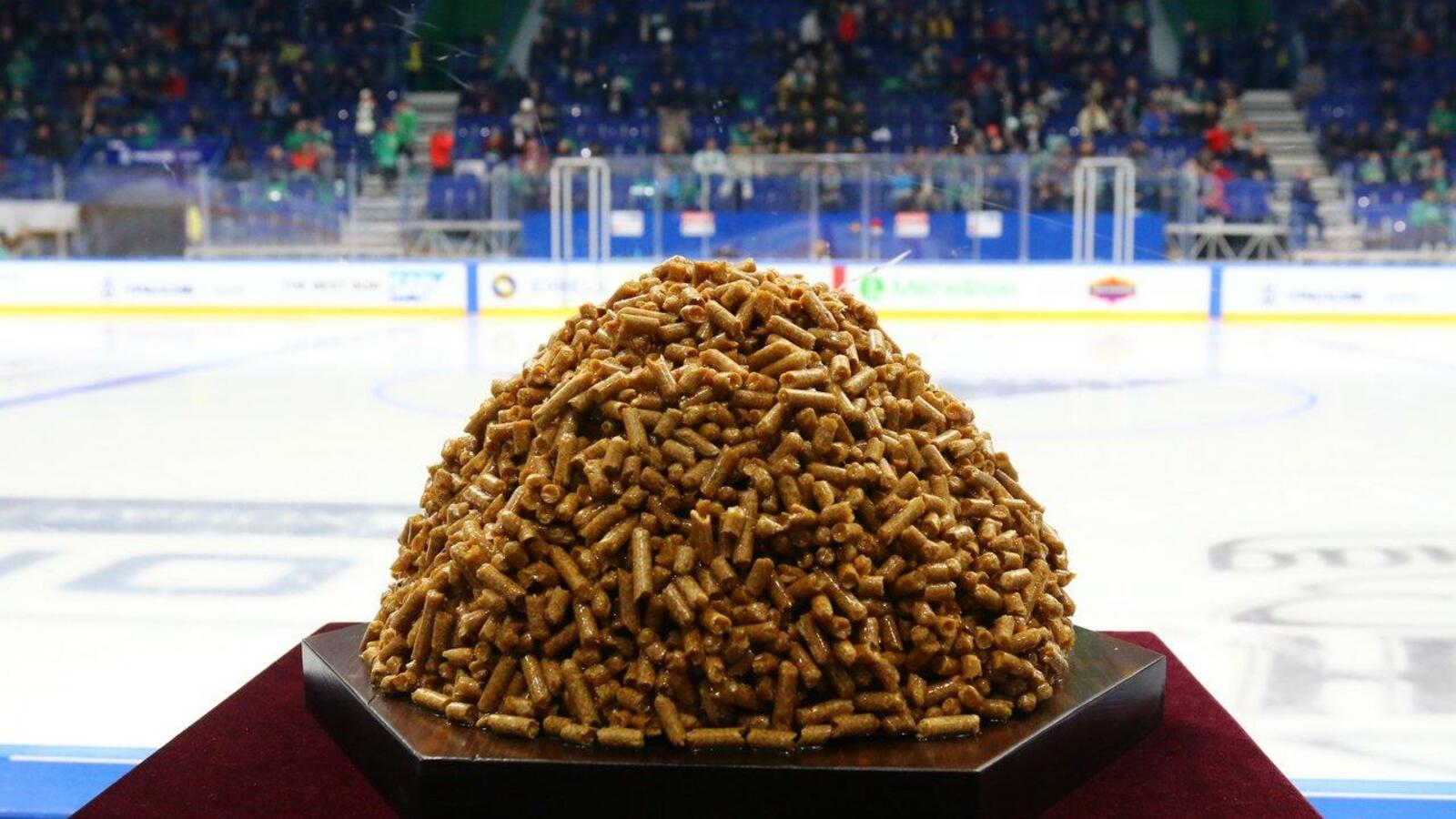 Валерий Шахов