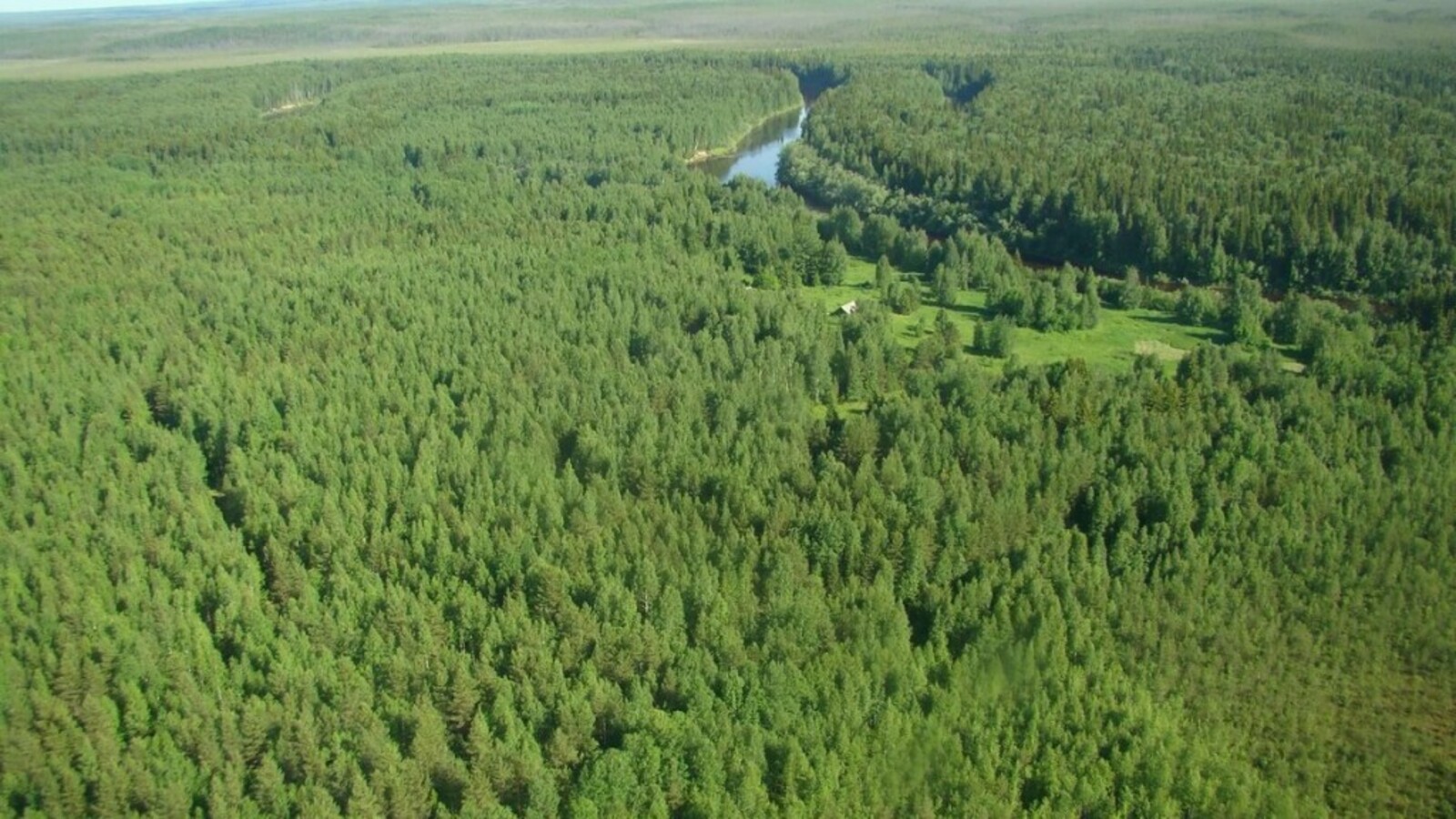 Площадь сибирского леса решение логистических задач