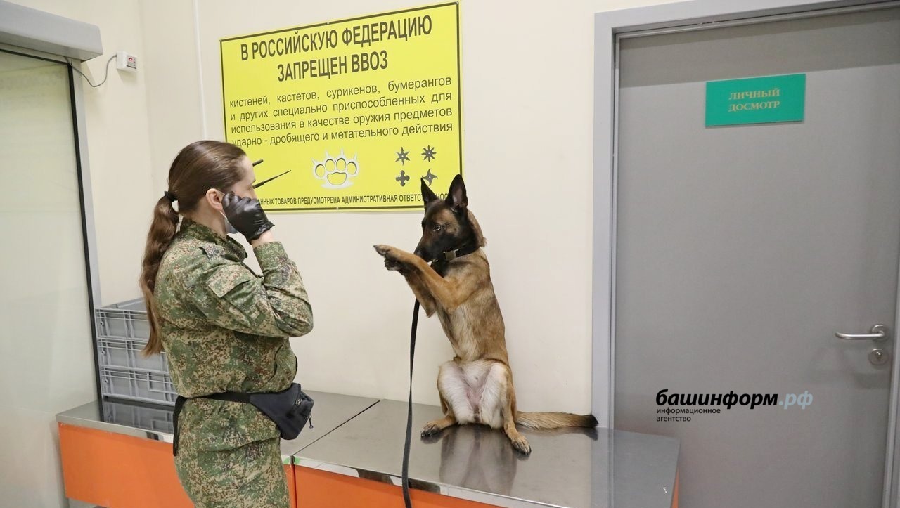 Валерий Шахов