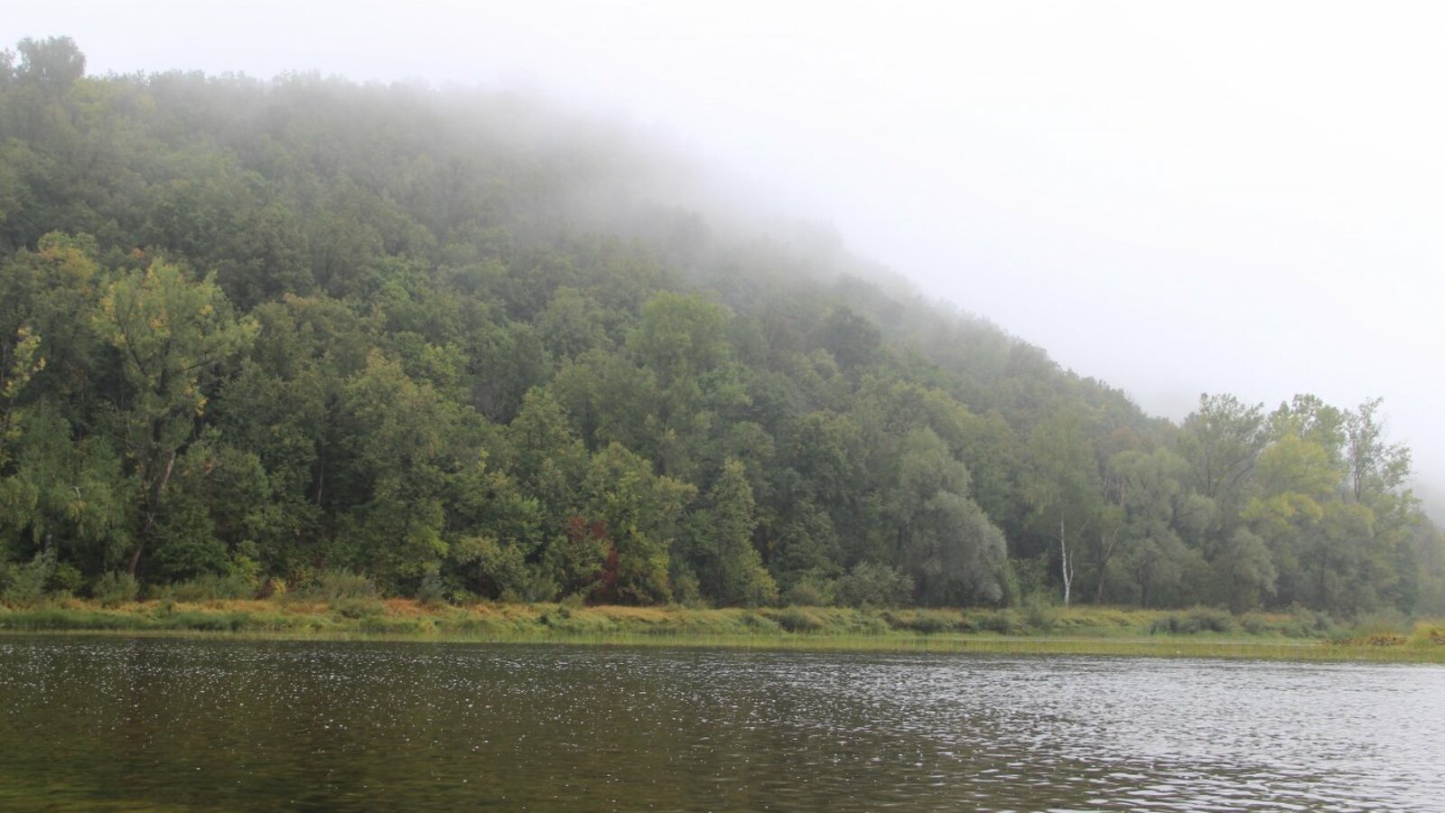 ИА «Башинформ»