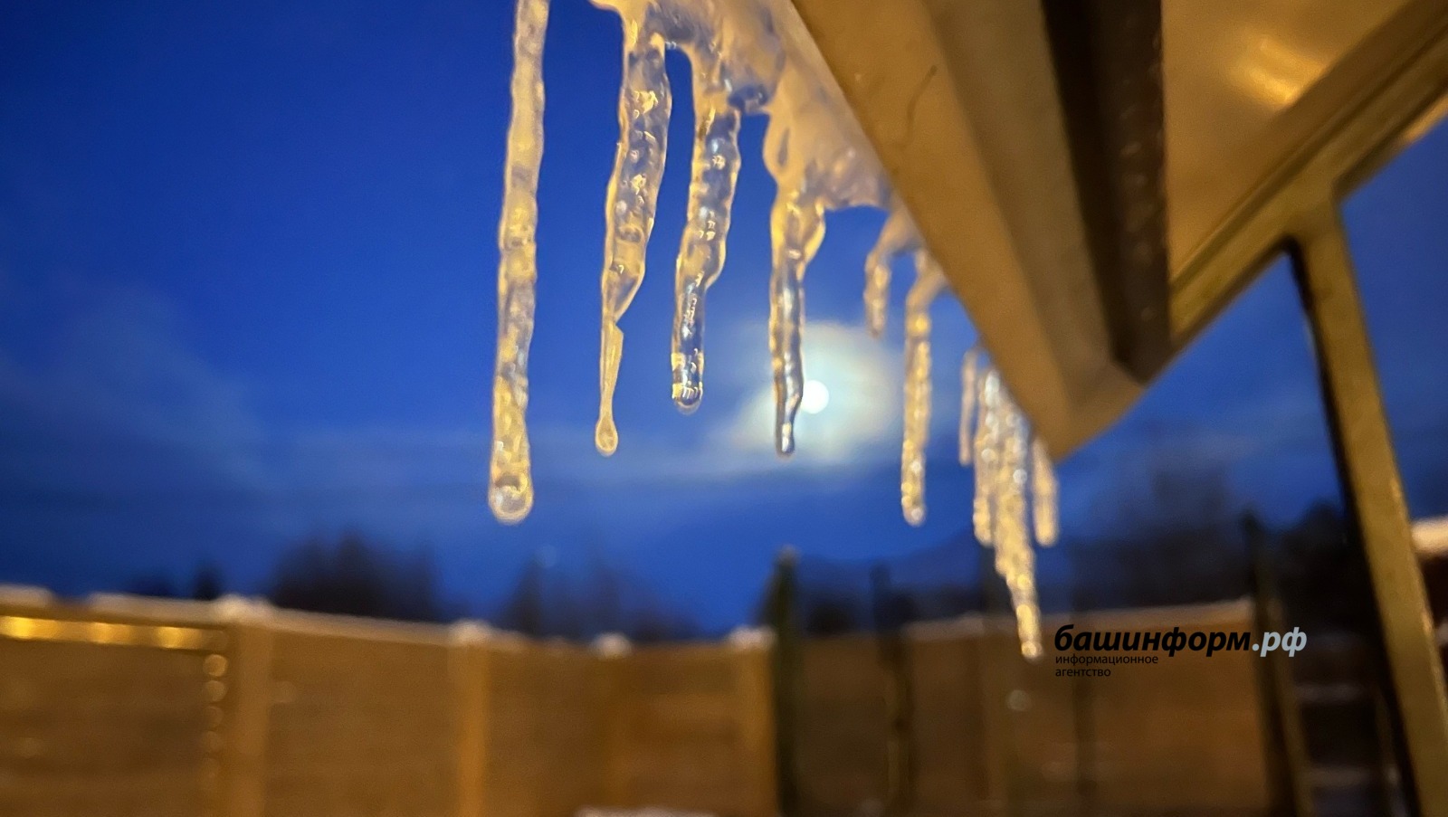 Ксения Калинина  ИА «Башинформ»