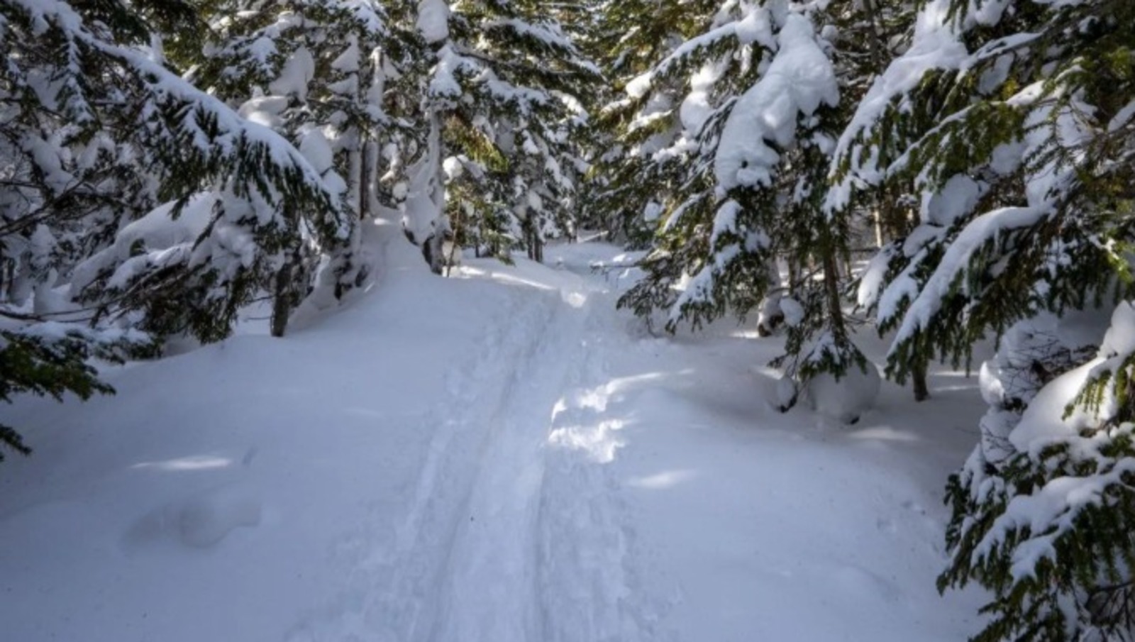 пресс-служба ГК РБ по ЧС