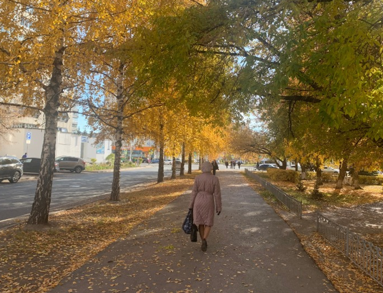 Галина Бахшиева