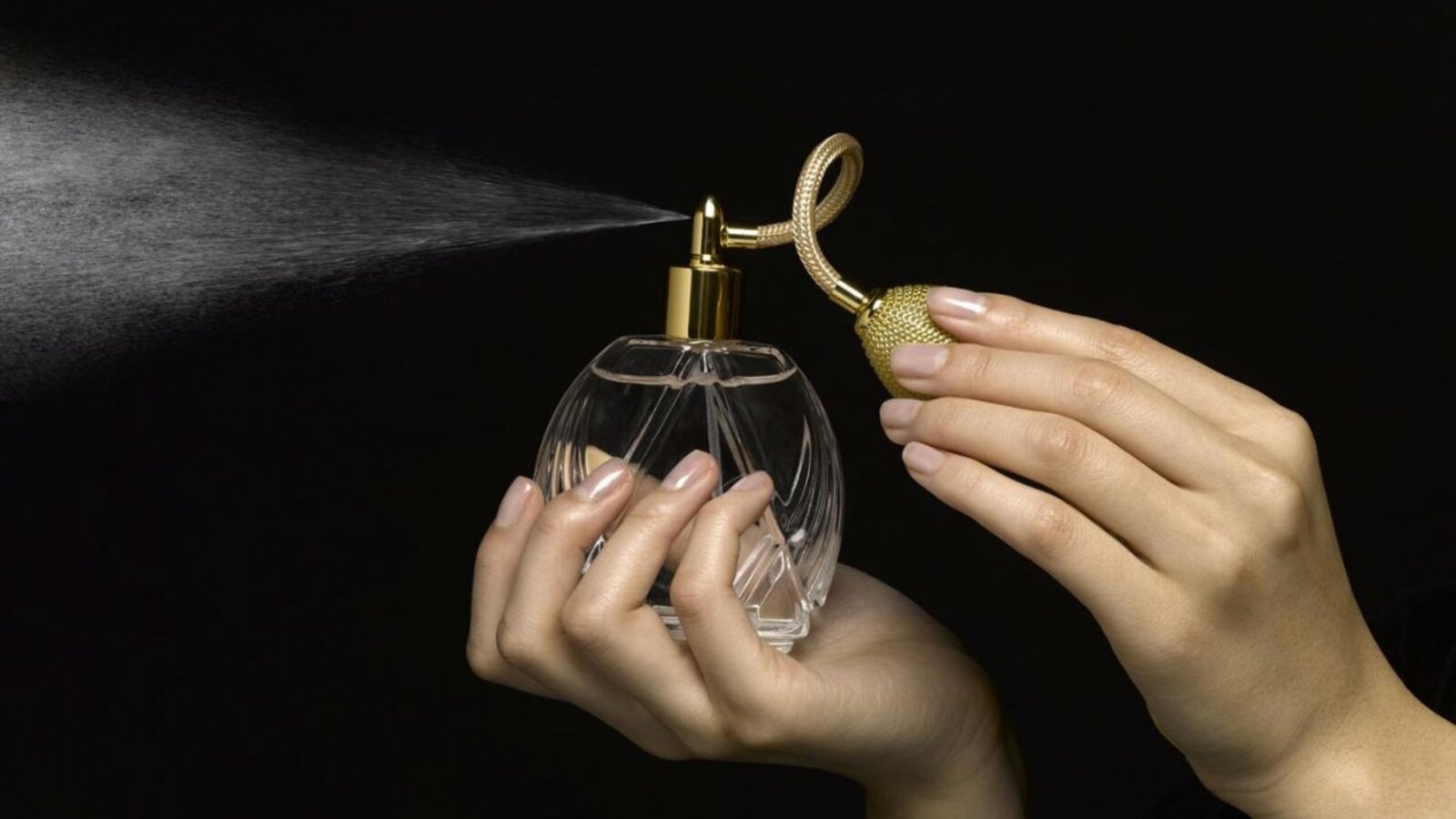 из открытых источников