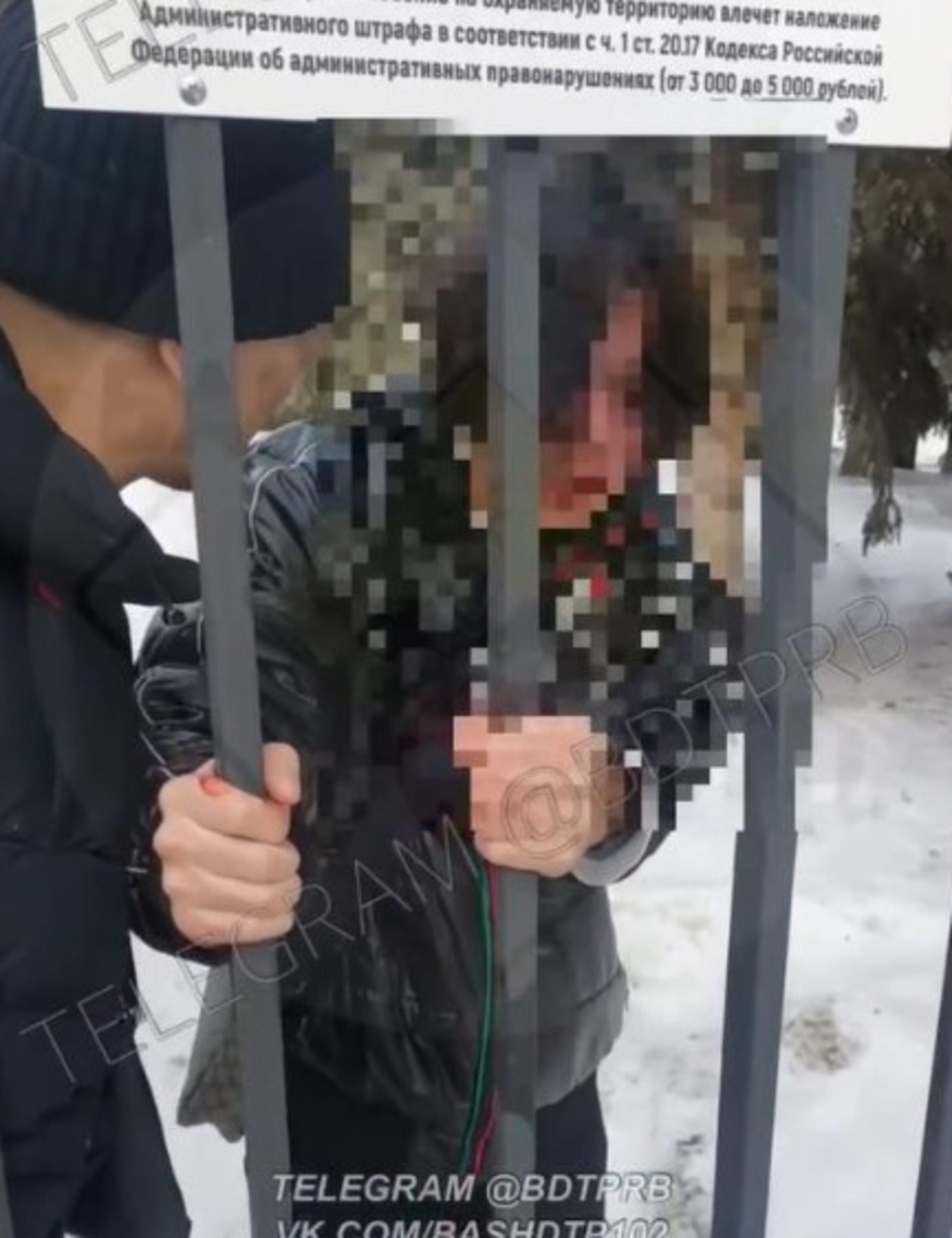 БашДТП, телеграм