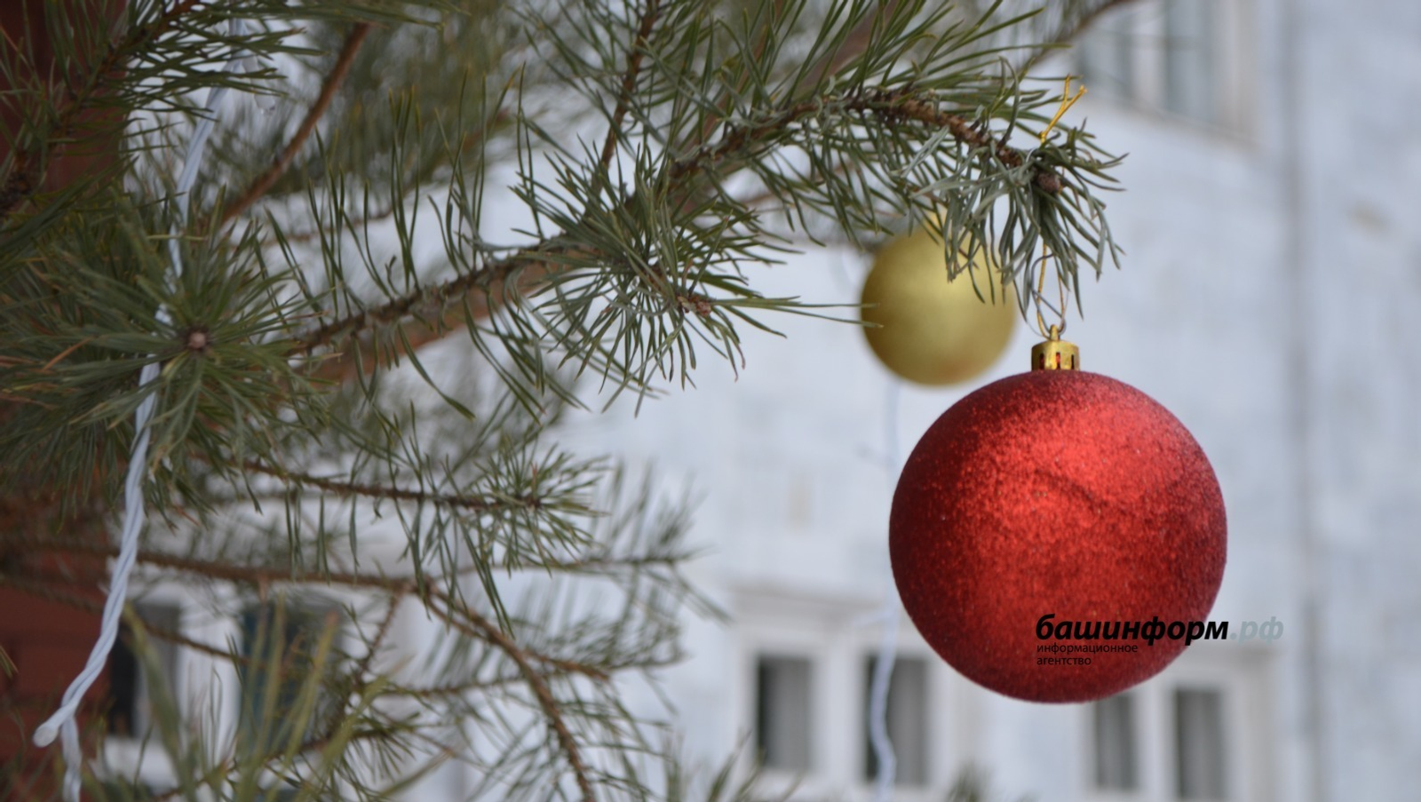 Ксения Калинина