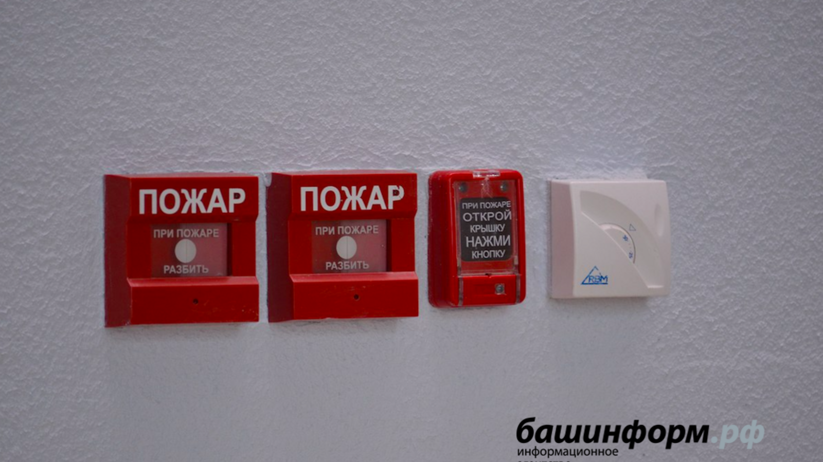 Ксения Калинина