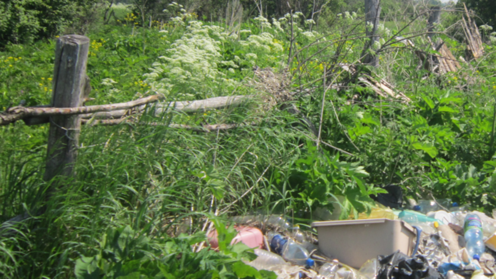 пресс-служба Минэкологии РБ