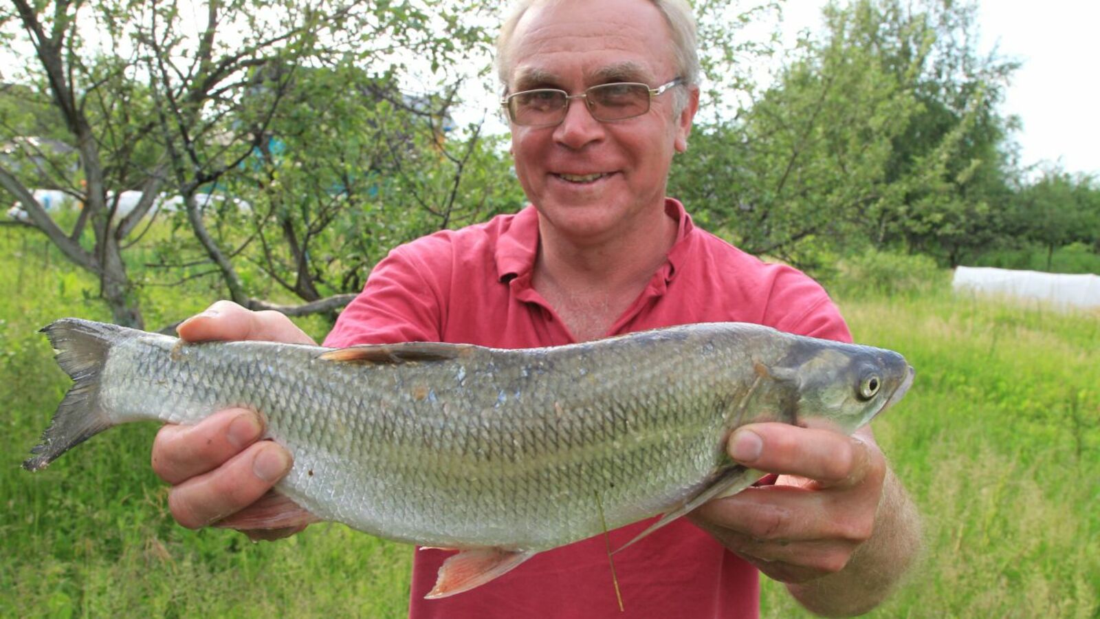 Олег Яровиков