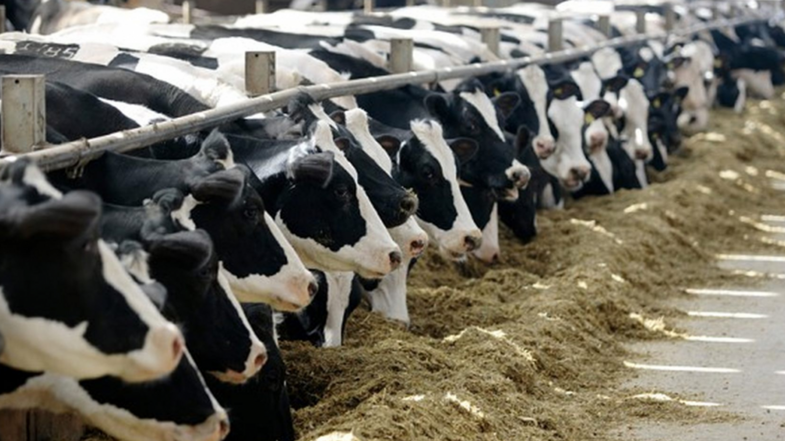 Минсельхоз РБ