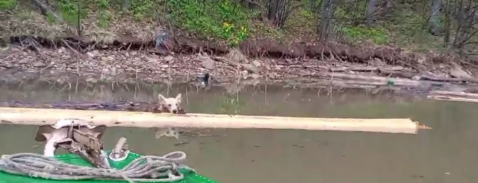 скриншот