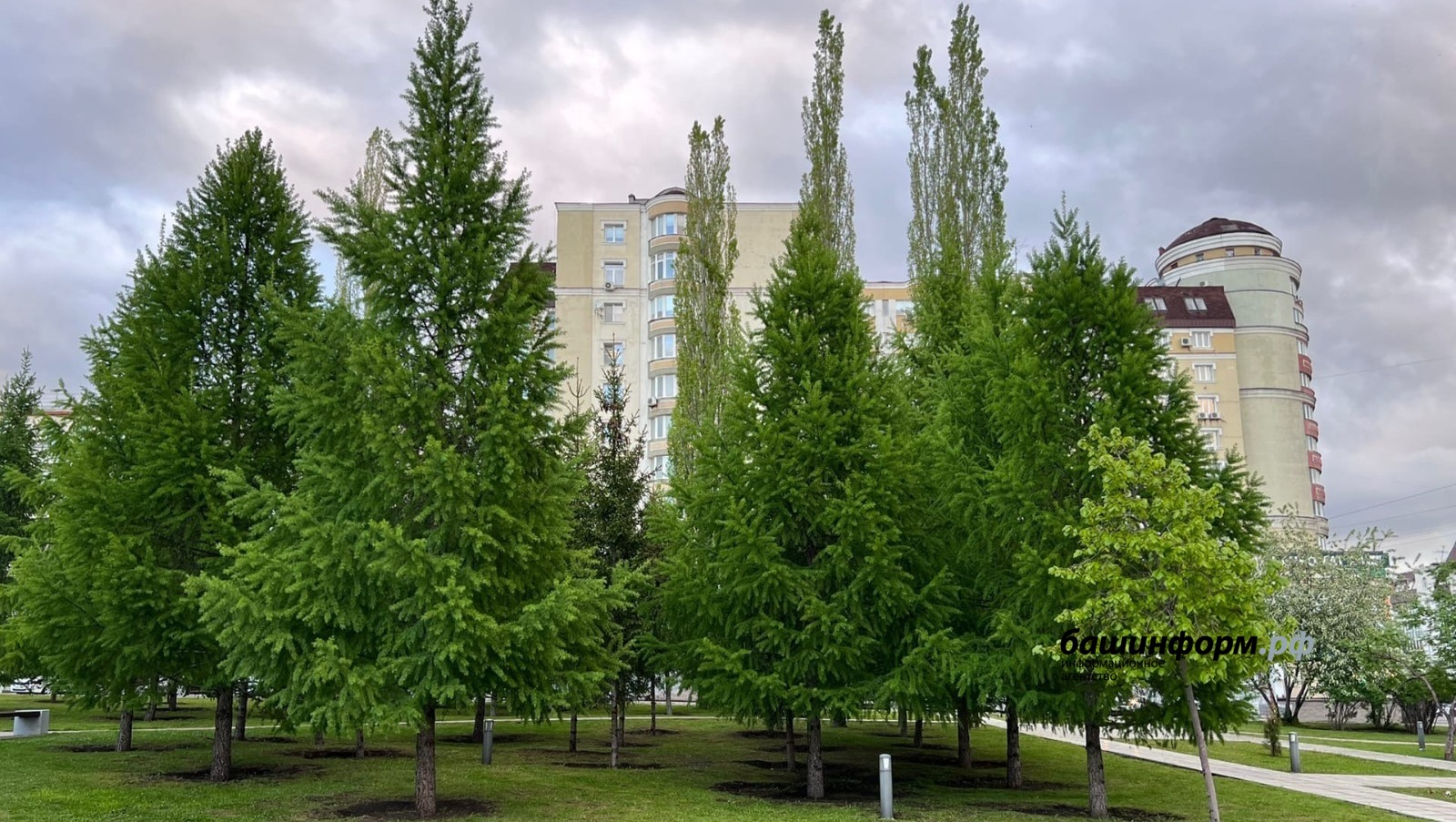 Ксения Калинина
