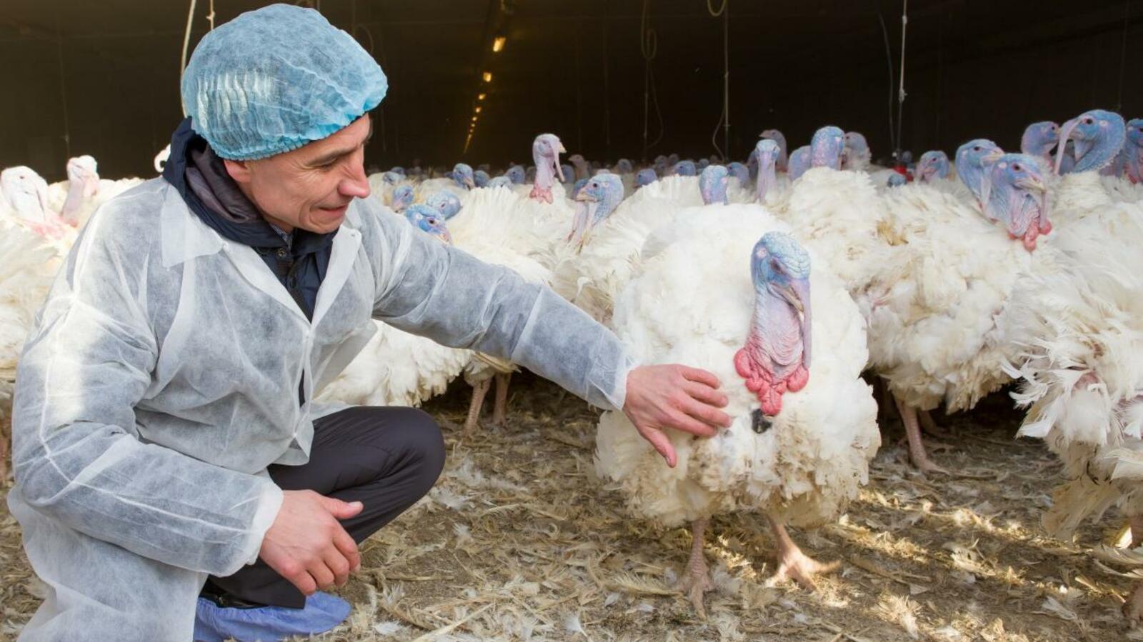 ИА «Башинформ»